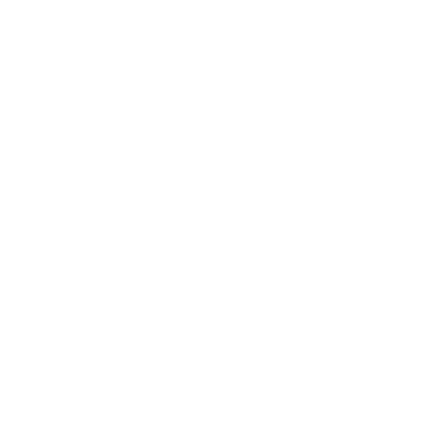 DSeT Consulting logo