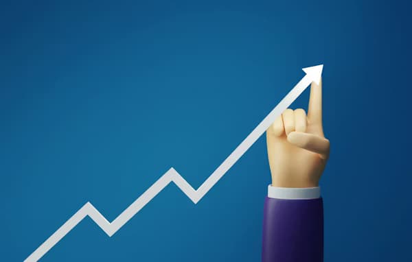 Growth at DSeT